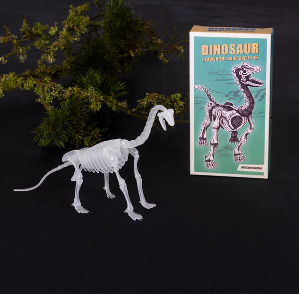 Dinosaur glow in the dark skeleton