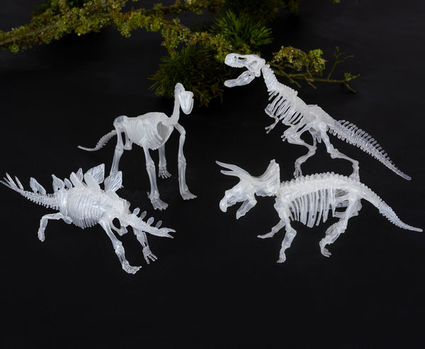 Dinosaur glow in the dark skeleton