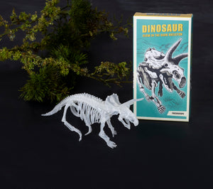 Dinosaur glow in the dark skeleton