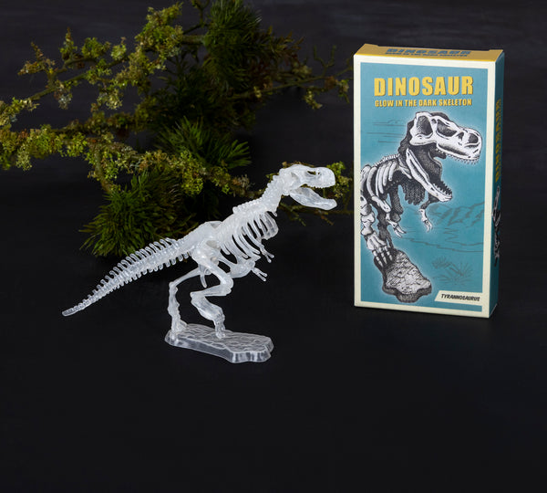 Dinosaur glow in the dark skeleton