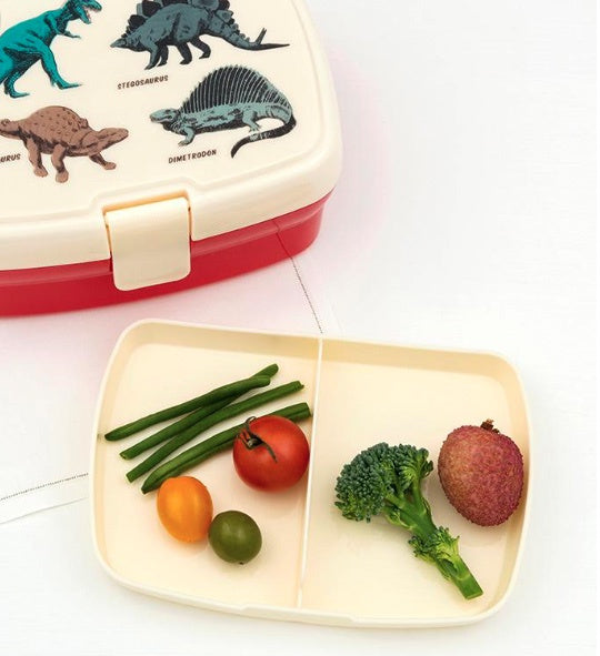 Prehistoric Land Lunch box