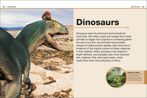 Pocket Eywwitness: Dinosaur Facts