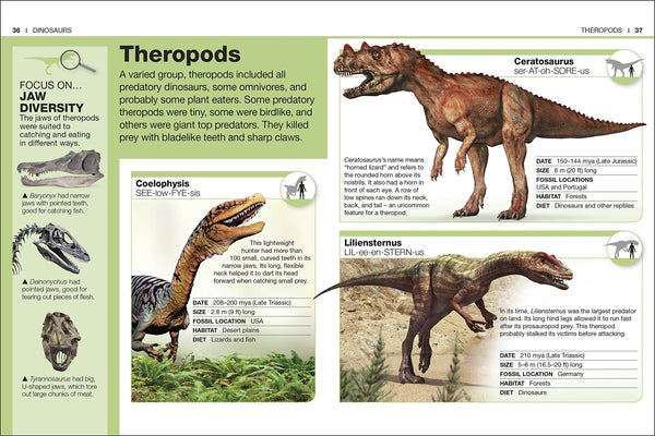 Pocket Eywwitness: Dinosaur Facts