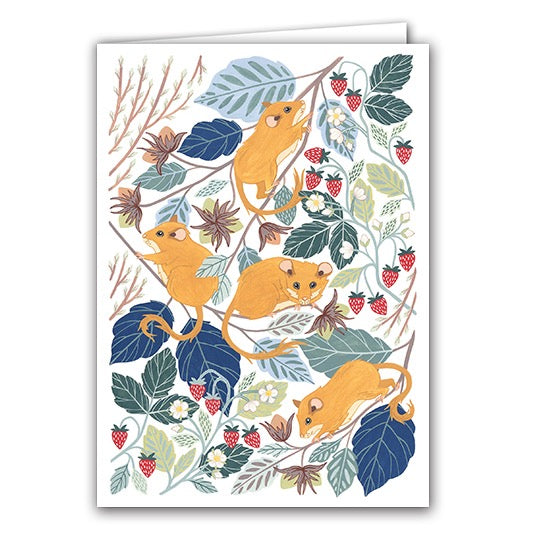 Hazel Dormice - Claire Tuxworth
