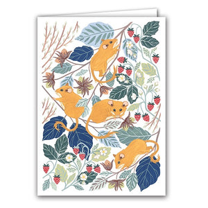 Hazel Dormice - Claire Tuxworth