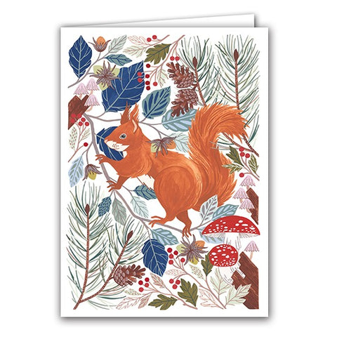 Red Squirrel - Claire Tuxworth