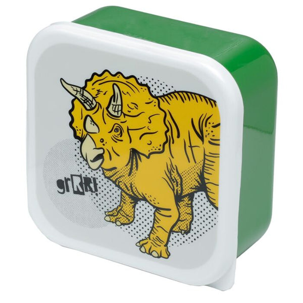 Lunch Boxes (set of 3) - M/L/XL Dinosauria