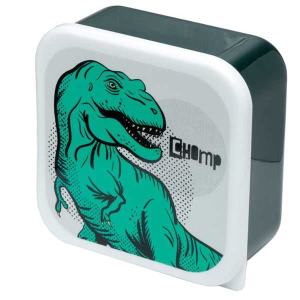 Lunch Boxes (set of 3) - M/L/XL Dinosauria