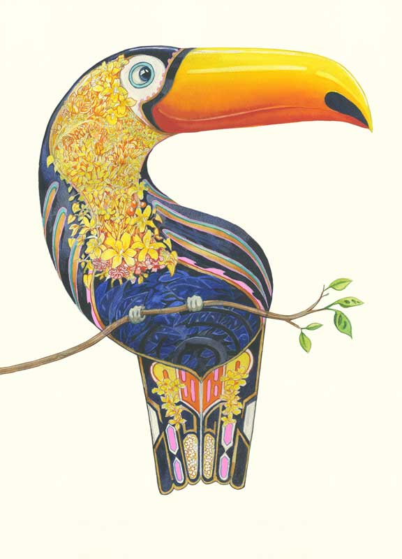 Toucan - DM Greetings Card