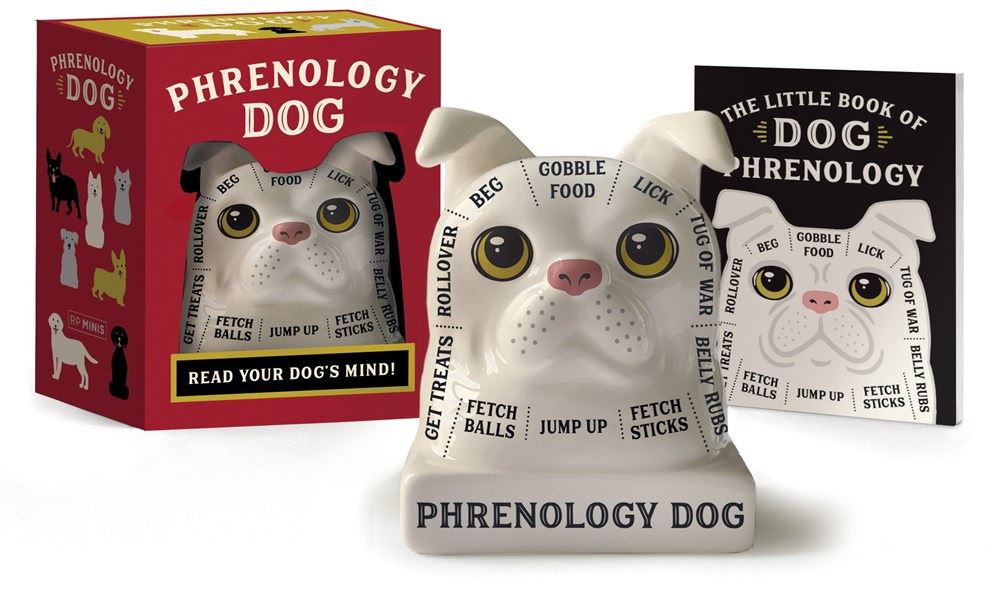 Phrenology Dog Mini Kit