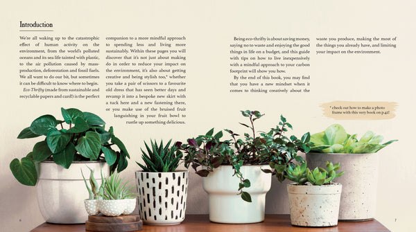 Eco Thrifty