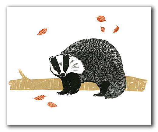 Badger - Zuza Misko