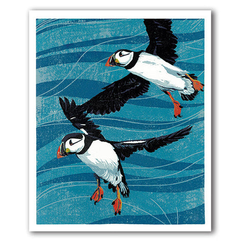 South Stack Puffins - Ann Lewis