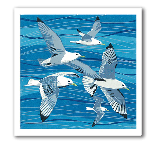 Soaring Kittiwakes - Ann Lewis