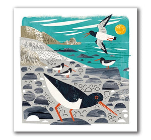 Oystercatchers - Matt Johnson