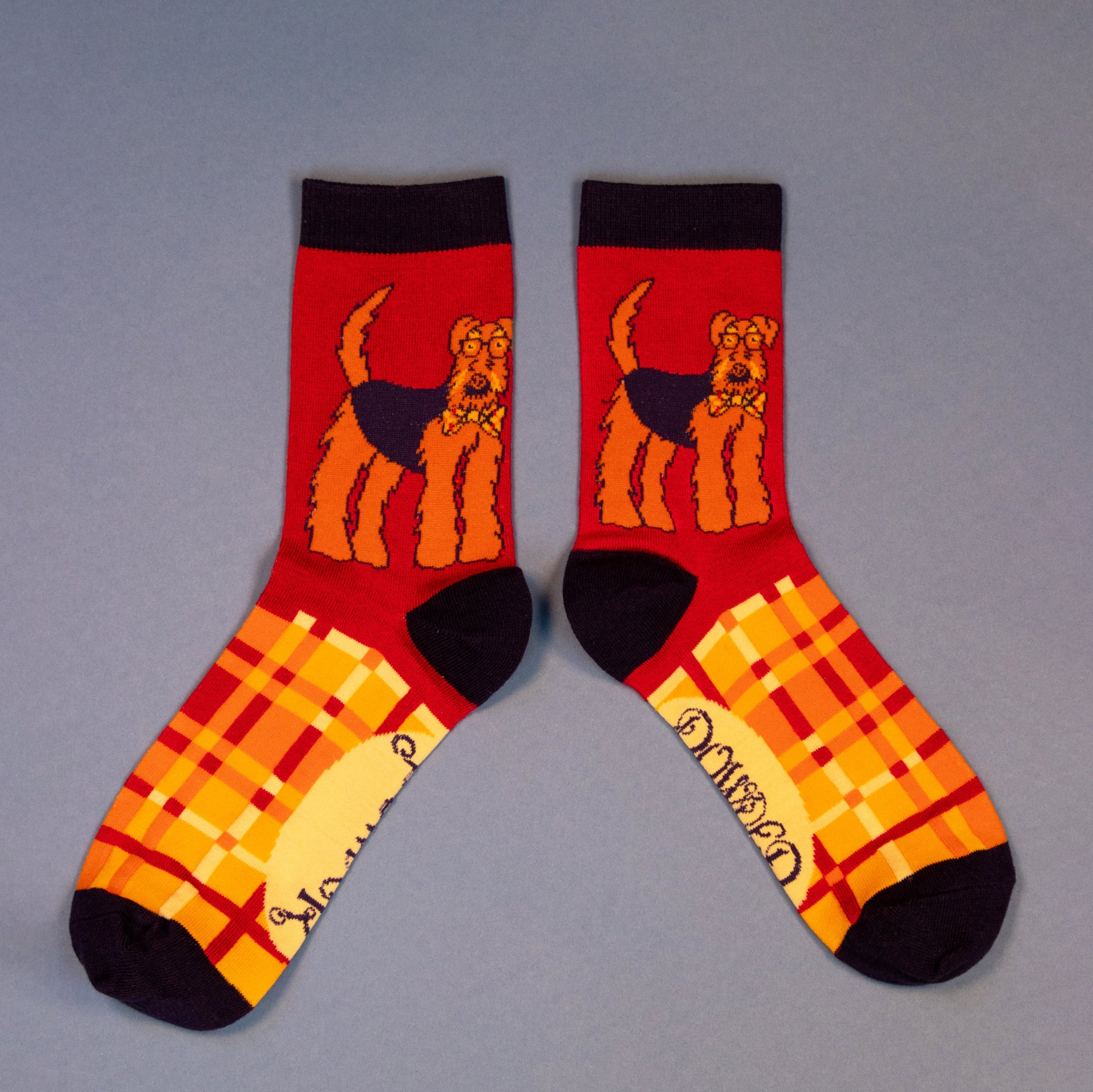 Mens Socks -Airedale Fuchsia