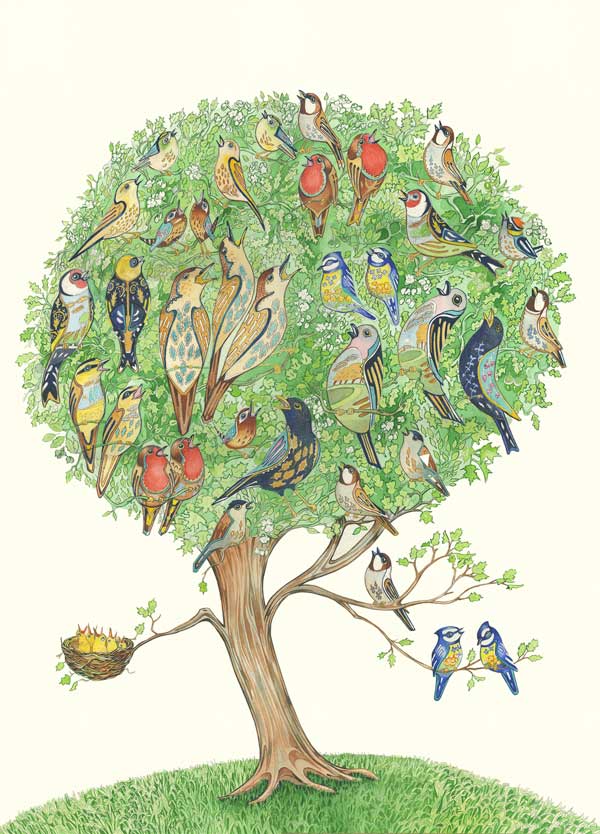 Dawn Chorus- DM Greetings Card