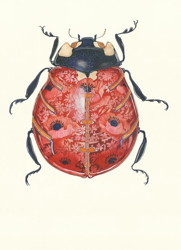 Ladybird- DM Card