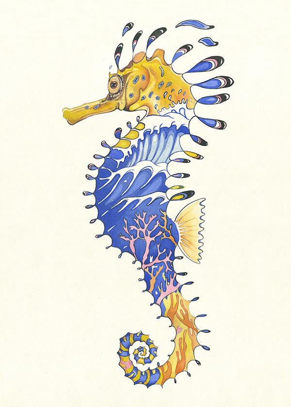 Seahorse- DM Greetings Card